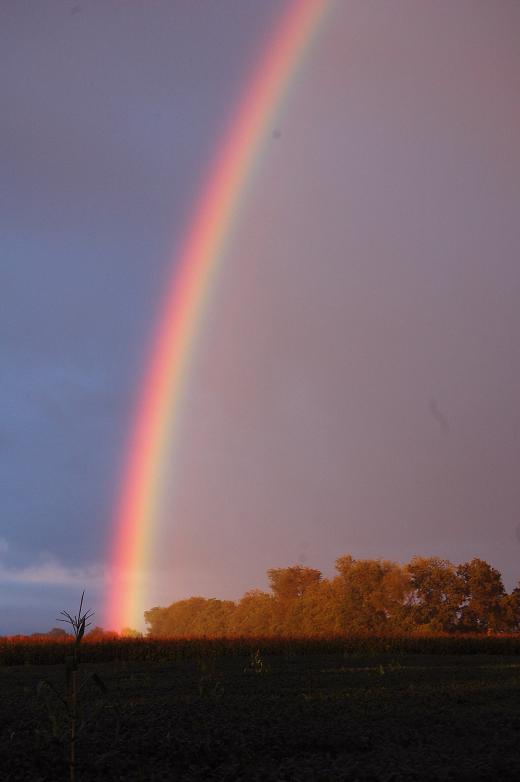 State College - Monday Rainbows