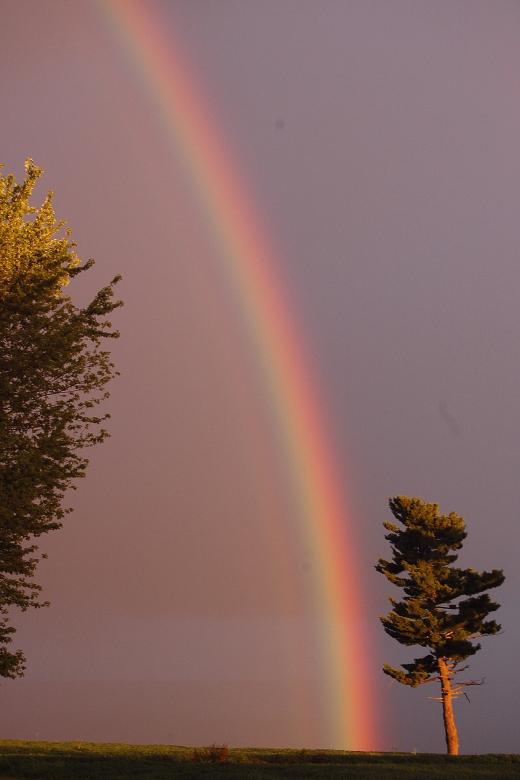 State College - This week's rainbows