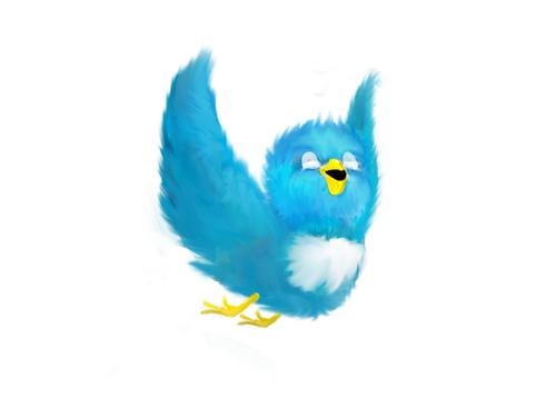 State College - Twitter bird