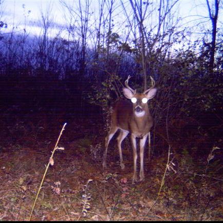 State College - 587443_4043