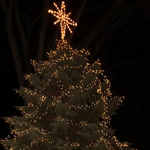 State College - State College Christmas tree
