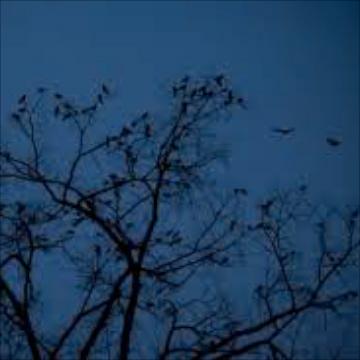 State College - 643774_4435