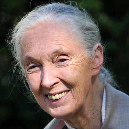 State College - Jane Goodall