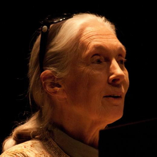 State College - Jane Goodall