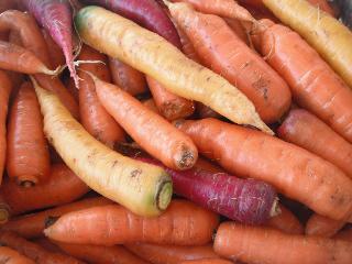 State College - 752000_5449