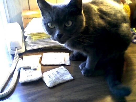 State College - 790194_5796