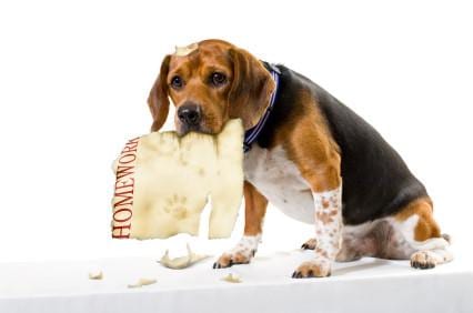 State College - 856922_6343