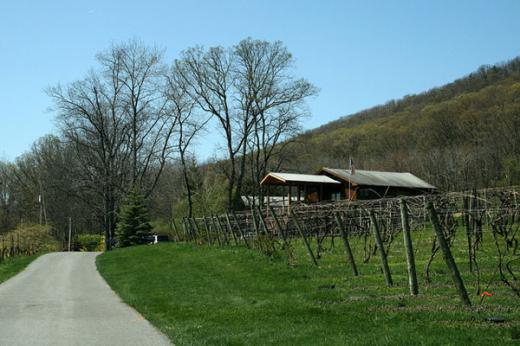 State College - Mount Nittany Winery