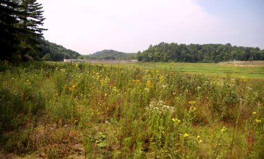 State College - Lake Perez