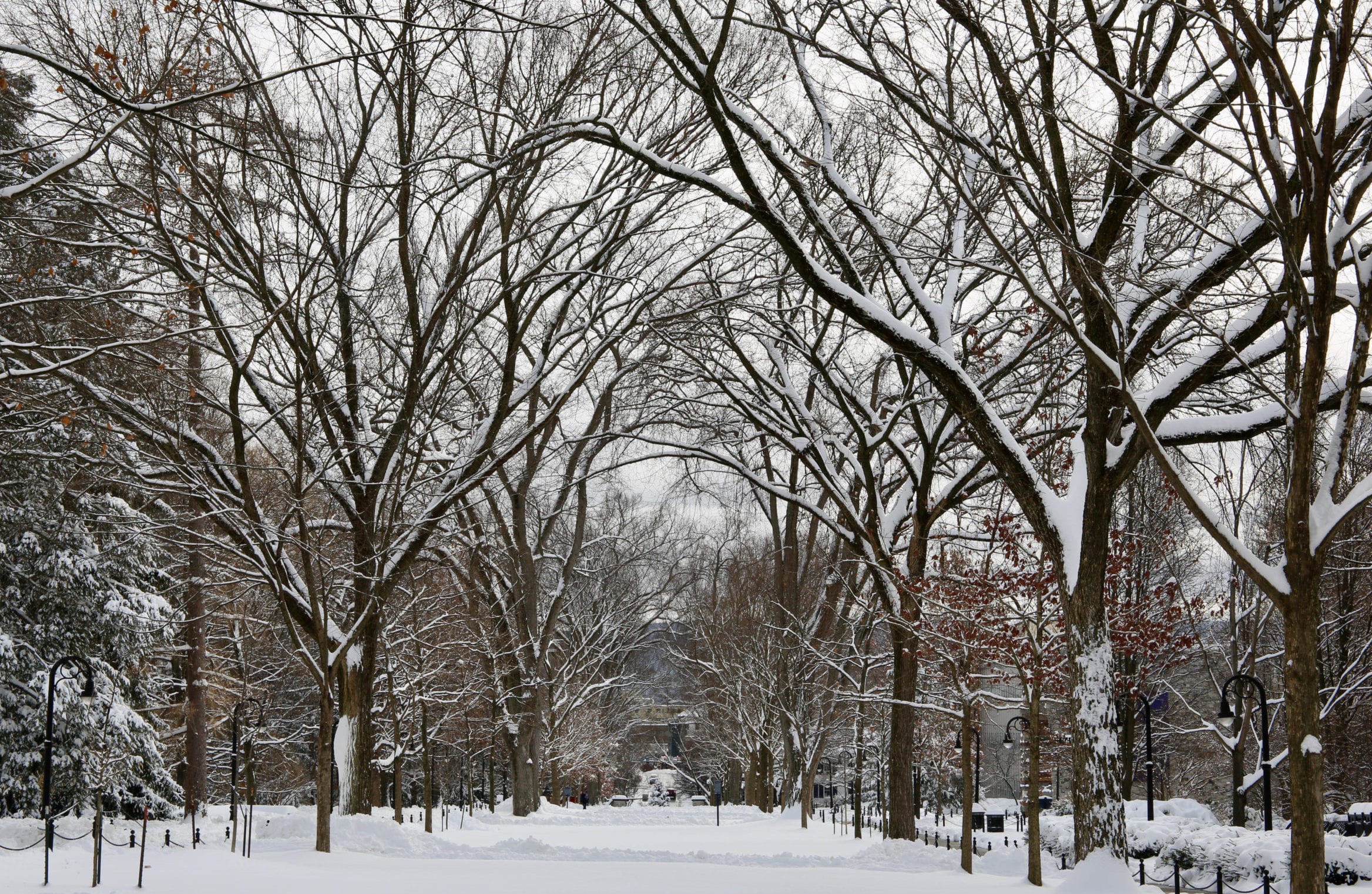 State College - Snow Allen Mall