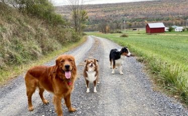 State College - IMG_4803