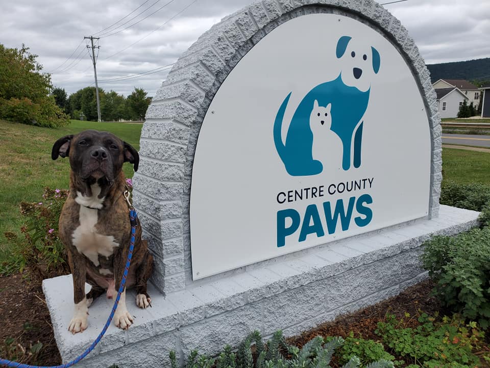 State College - PAWS