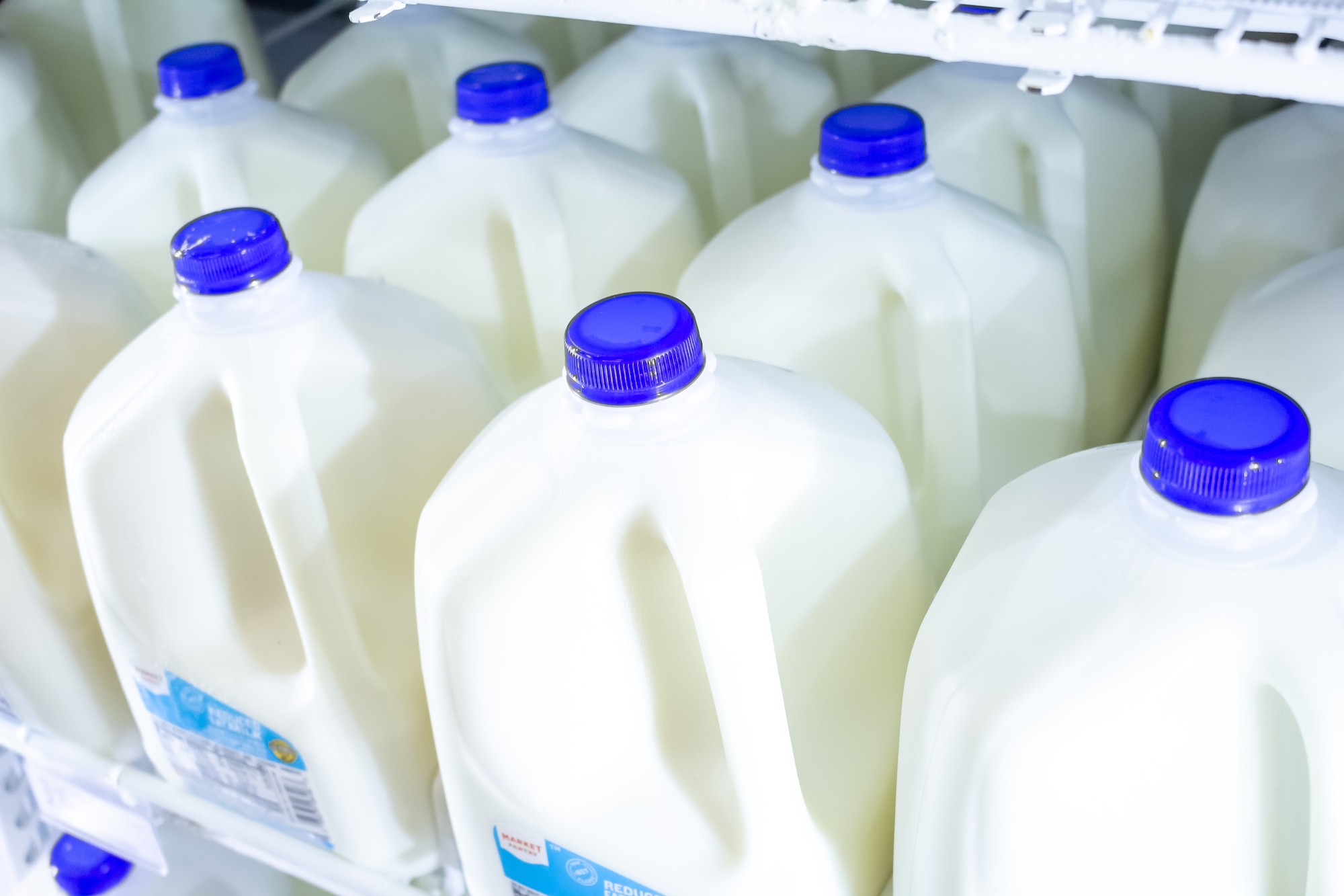 State College - milk gallons