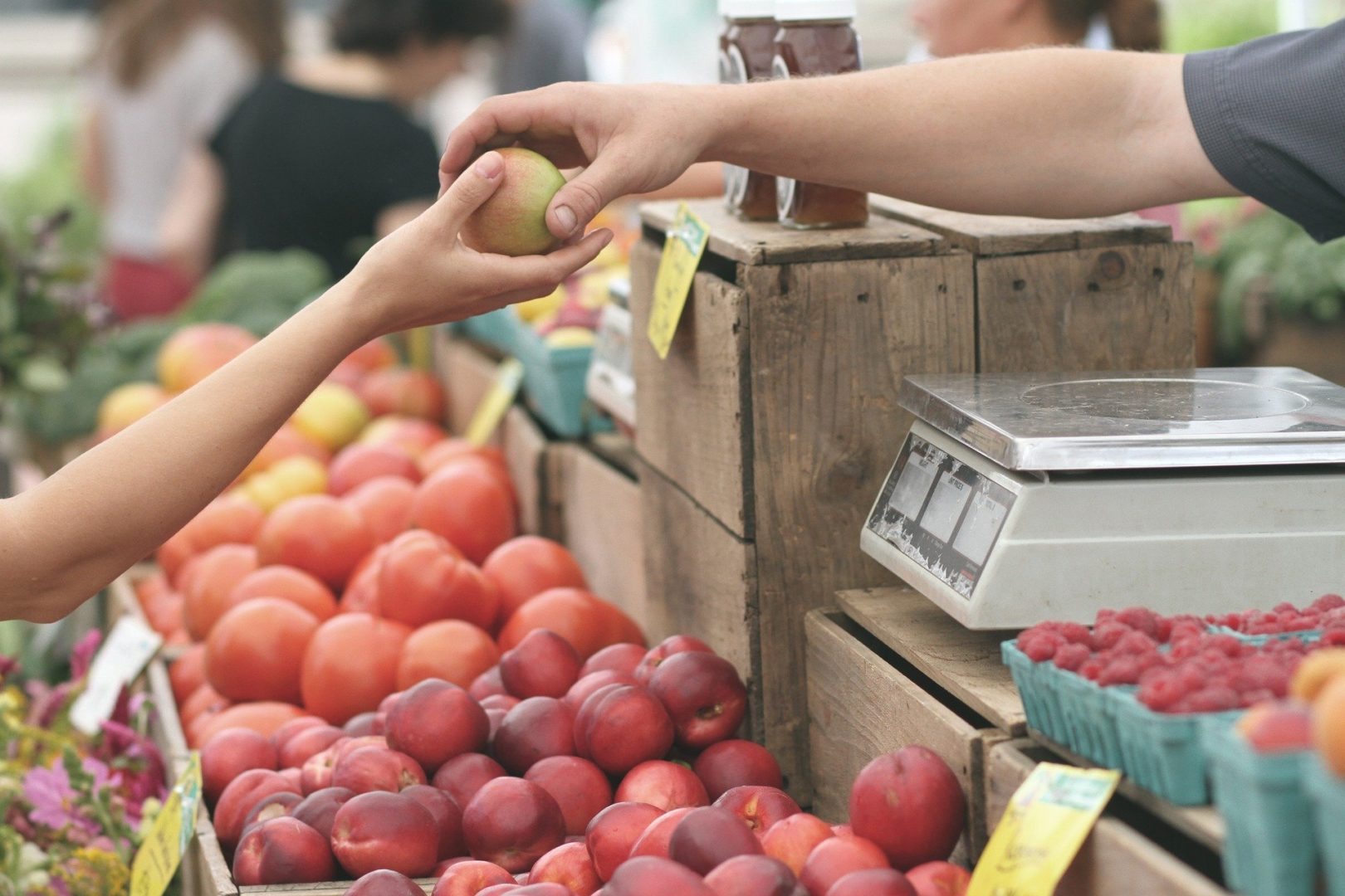 State College - Farmers Market