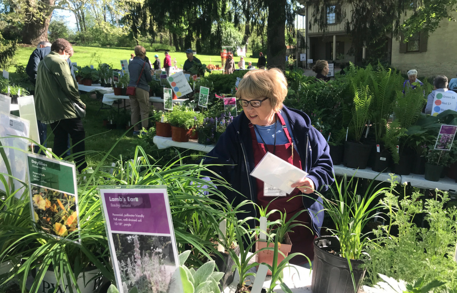 State College - plantsale
