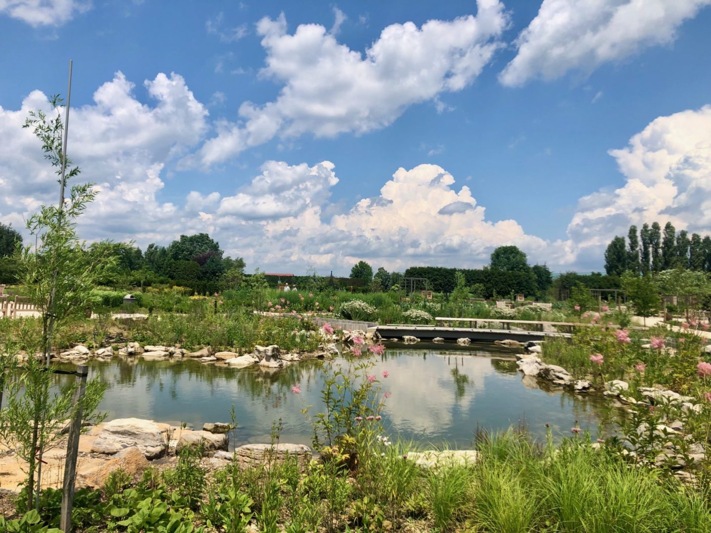 State College - Arboretum Pollinator and Bird Garden