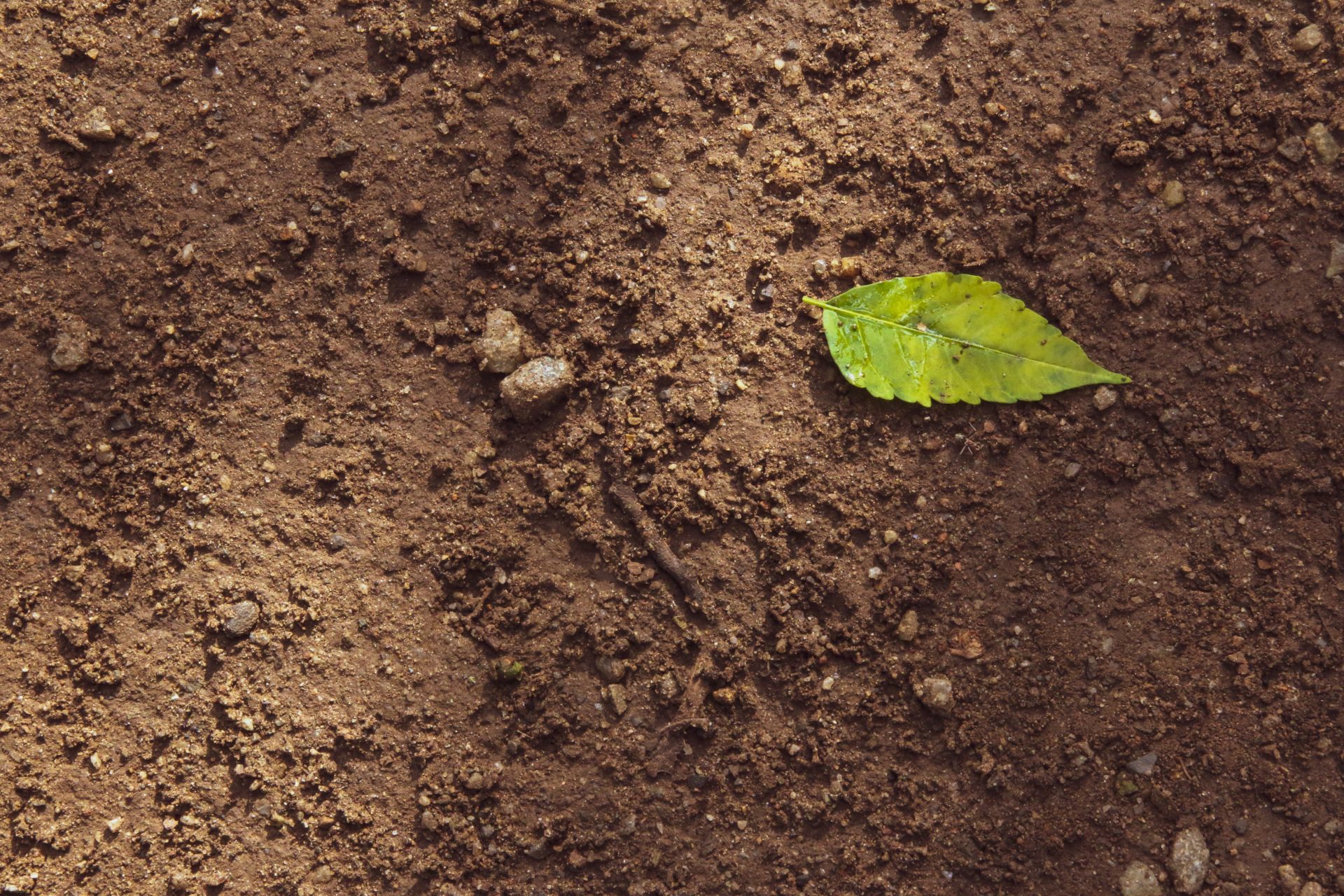 Digging Deeper The Story Of Soil Mini Camp In State College Pa Event Calendar Statecollege Com