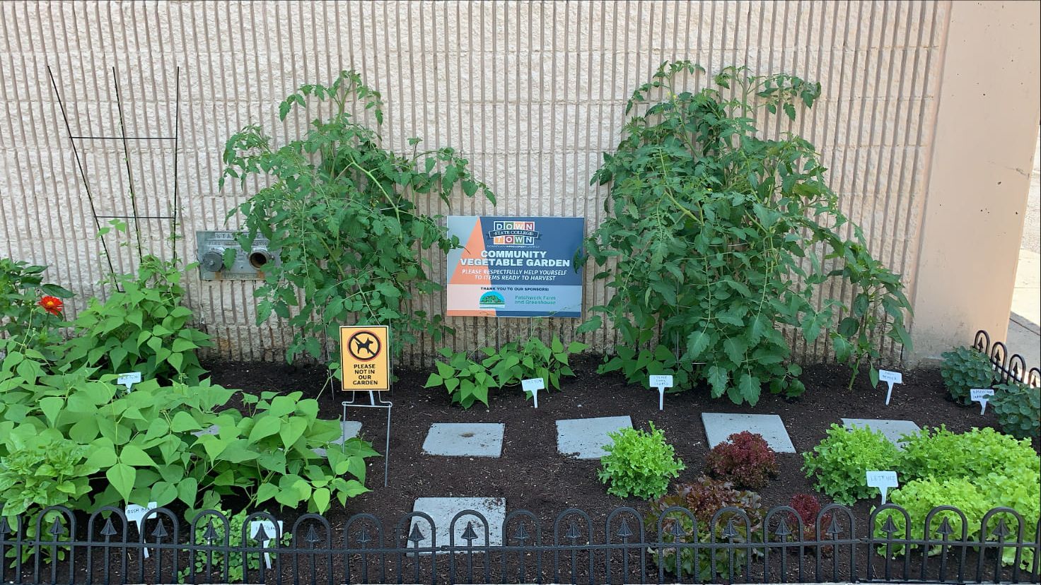 State College - 225444186_10159168918119373_2352002255670106839_n