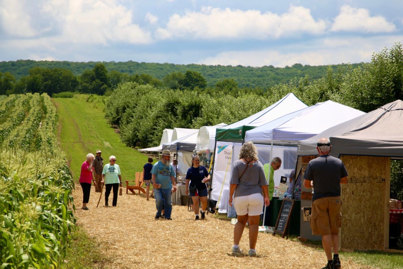 Summer Fun Continues at Way Fruit Farm’s ‘Art in the Orchard’ State