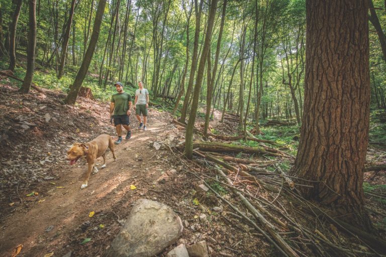 Gateway to Adventure: Friends of Rothrock State Forest Are Enhancing the Trail System at Musser Gap