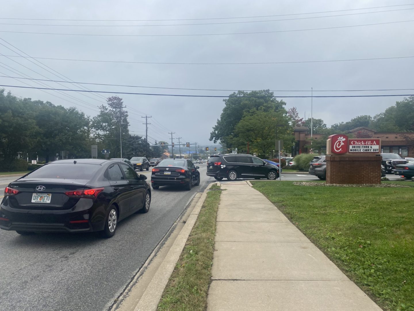 State College - Chicken traffic