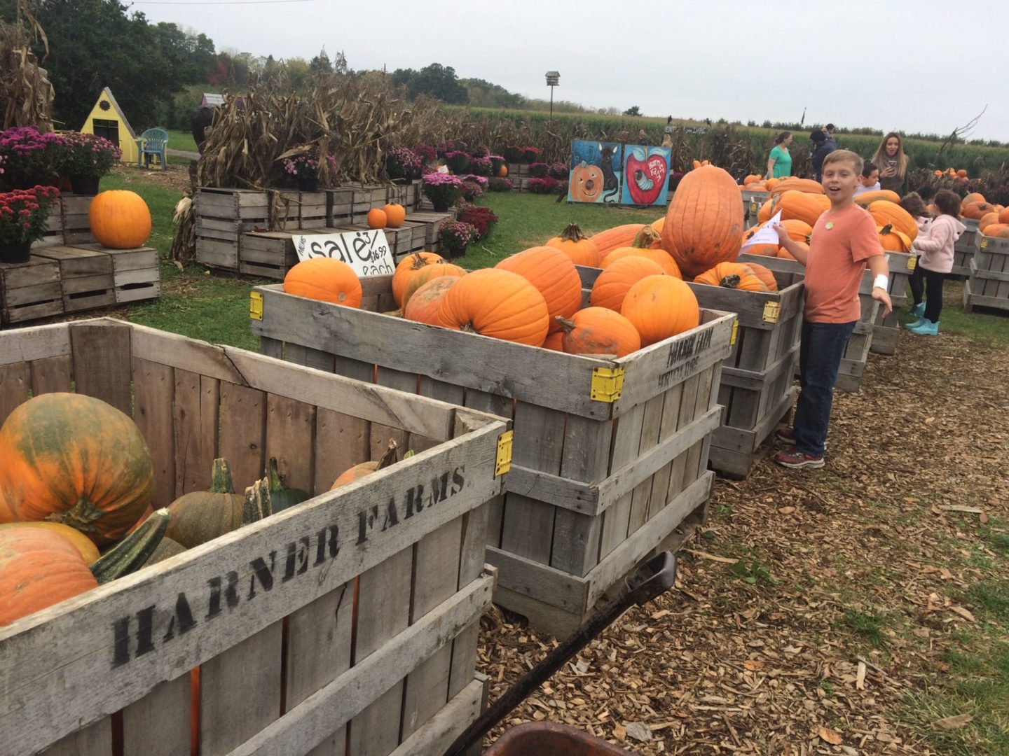 Fall Festivals, Halloween Events Return Across Centre County State