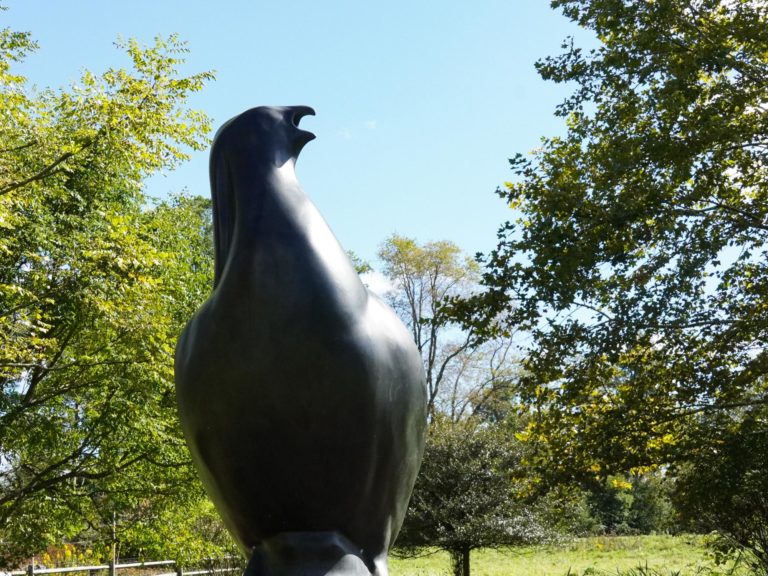 New Sculpture Installation Highlights Bird Extinction, Conservation Efforts
