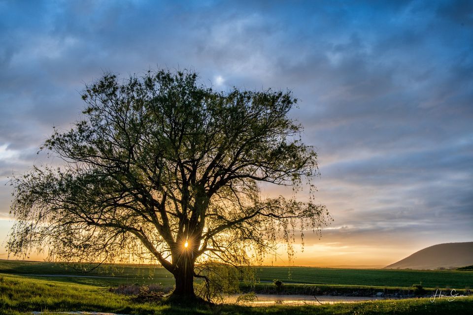 State College - Footprints in the Field Garden-Site