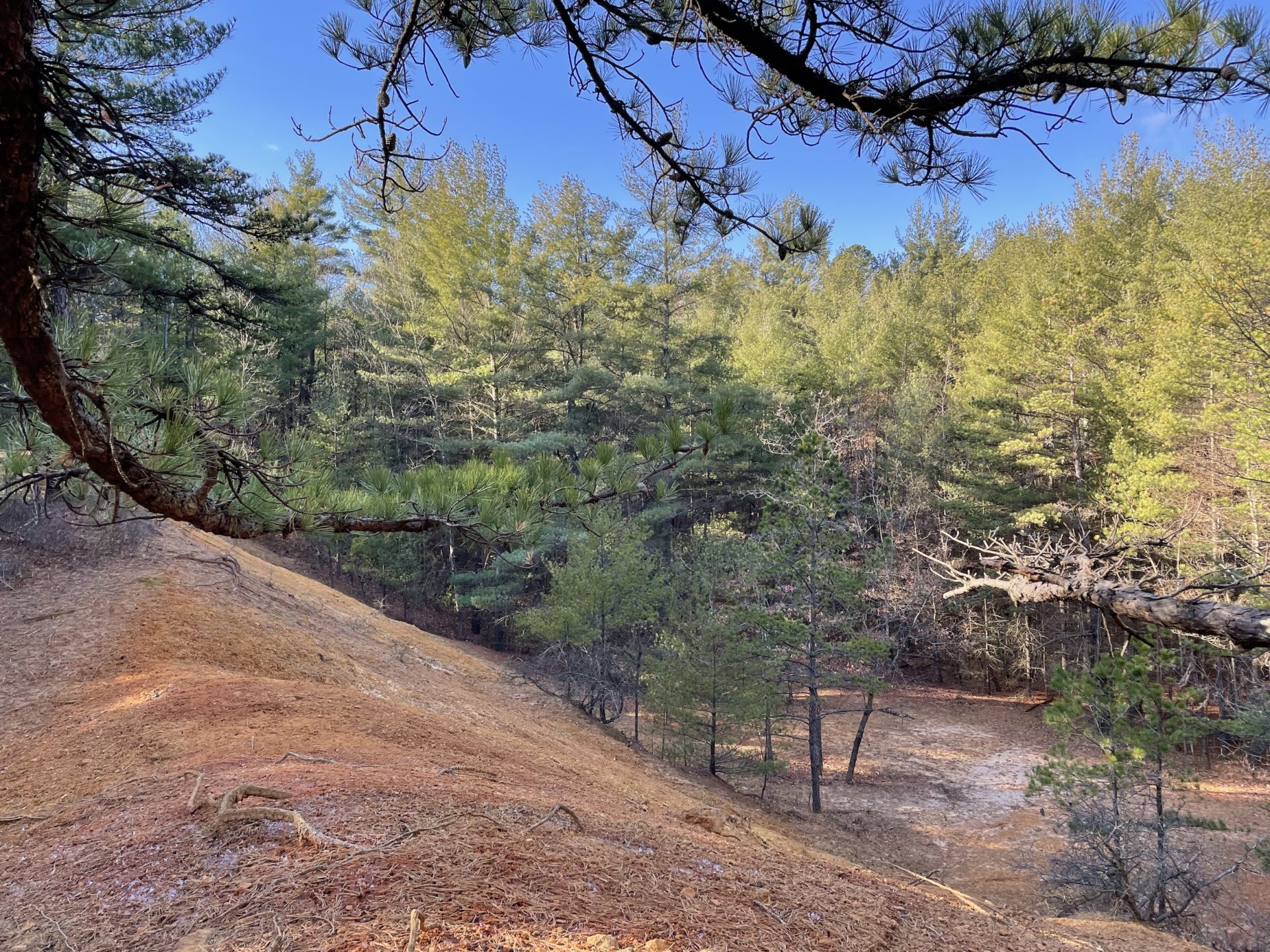State College - grays woods preserve1