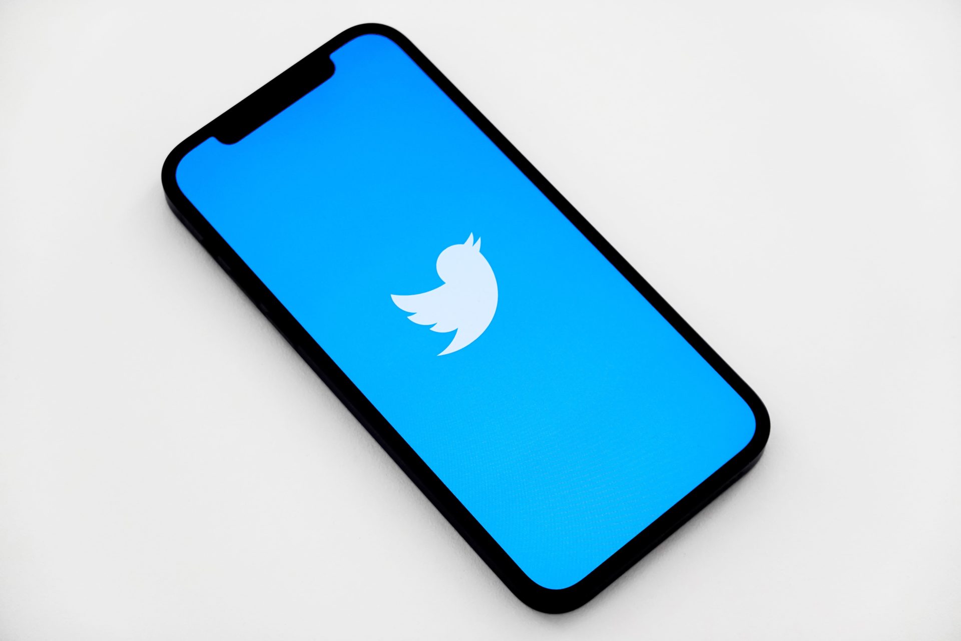 white twitter bird icon on blue background displayed on an iPhone