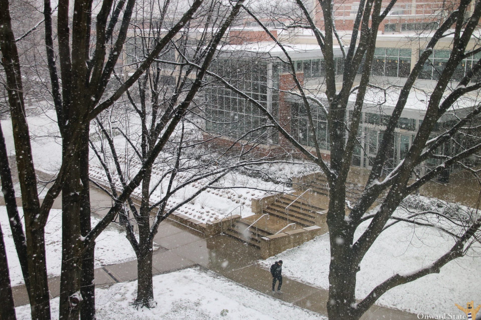 snow flakes fall on bare trees and a building as one person walks on the sidewalk at Penn State