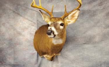 State College - 20220130_152849