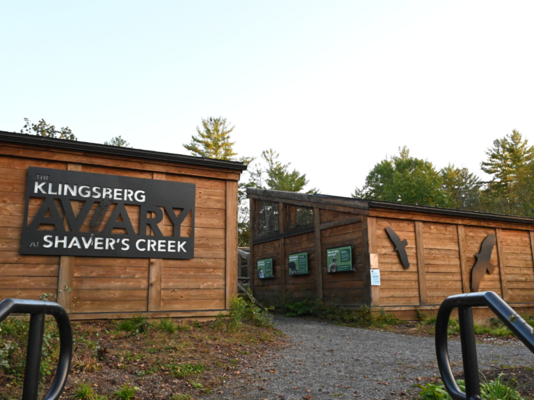 2022 Birding Cup Welcomes Competition, Support for Aviary Upgrades at Shaver’s Creek