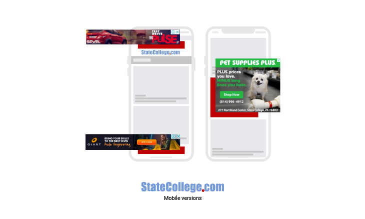 State College Ads in Website