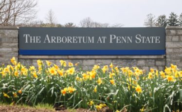 The Arboretum at Penn State sign on a stone wall with yellow flowers in front