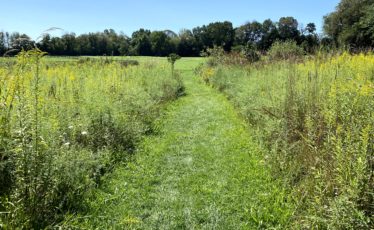 Centred Outdoors: Flutter Over to This Local Park for a Tour of the Snetsinger Butterfly Garden