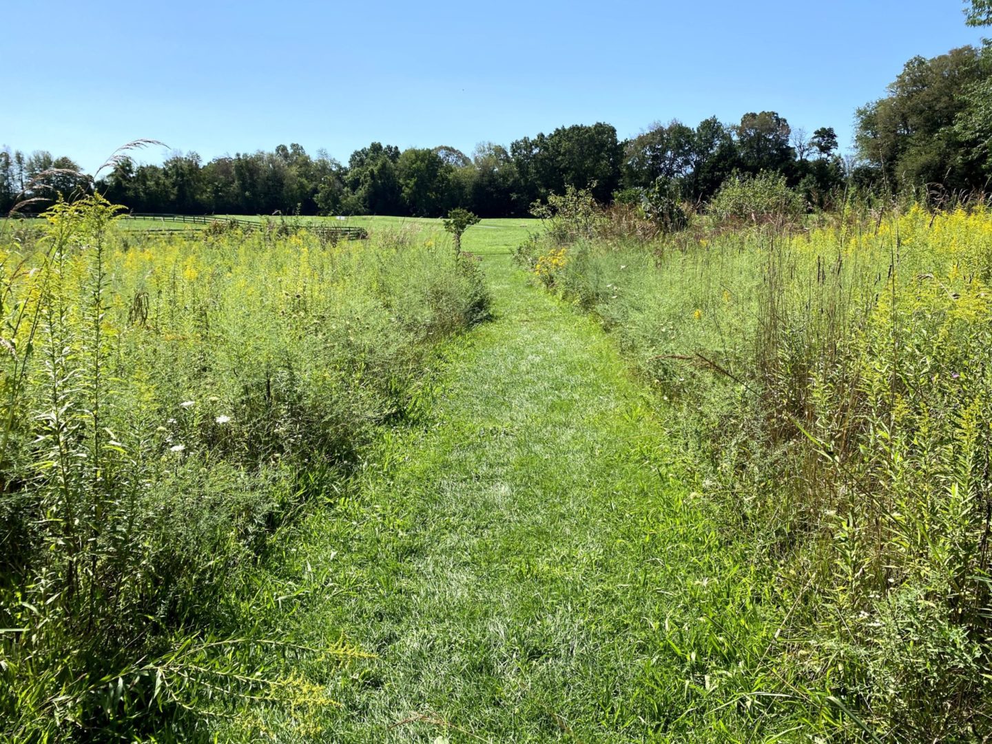 State College - Centred Outdoors 2