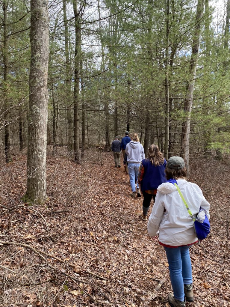 Centred Outdoors to Explore Gray’s Woods Preserve