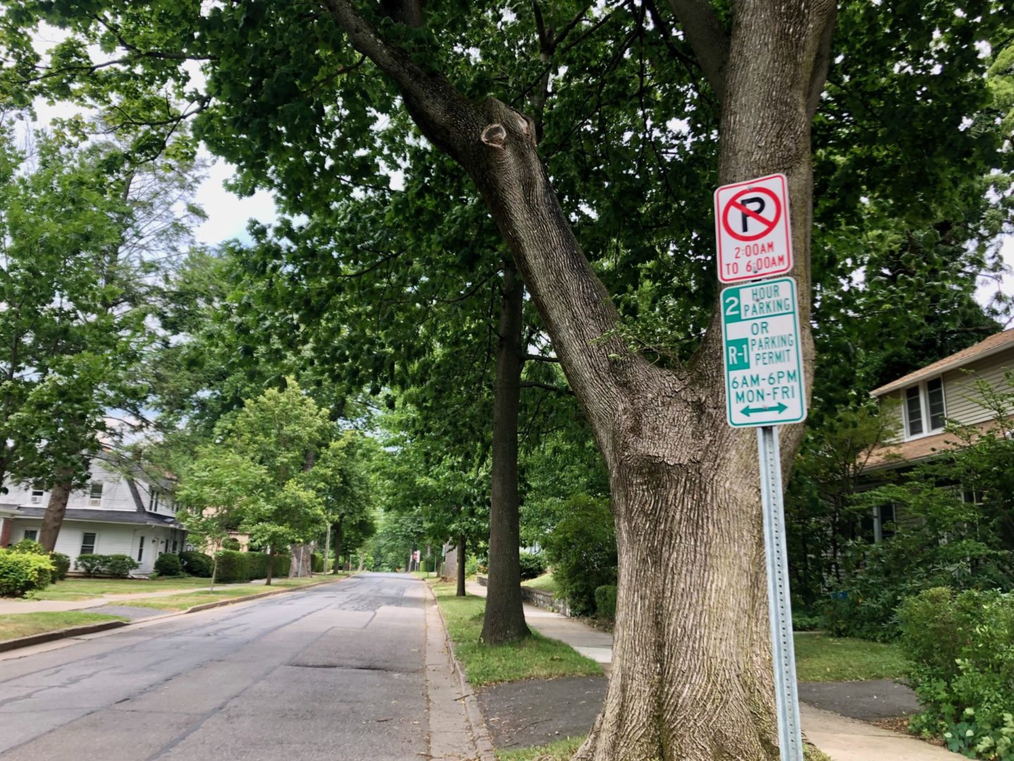 Parking Changes in Effect for Arts Festival State College, PA
