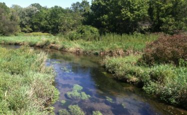 Centred Outdoors Explores Millbrook Marsh Nature Center