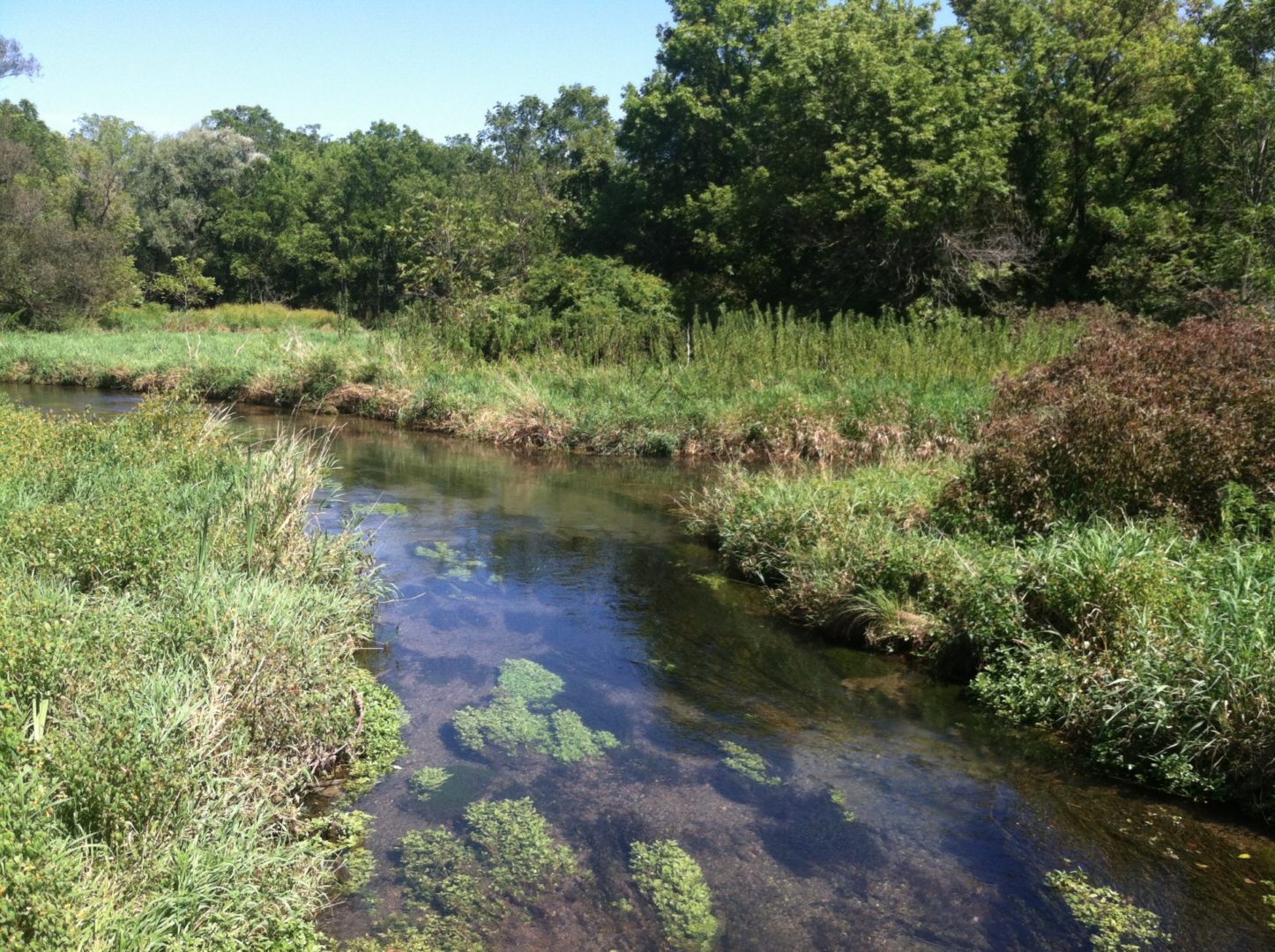 State College - Centred Outdoors 1 - millbrook marsh