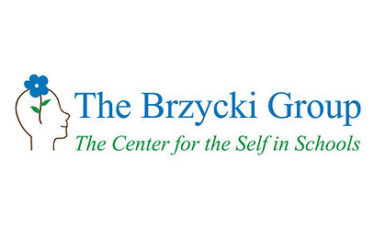 Brzycki Group, The