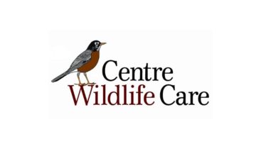 Centre Wildlife Care