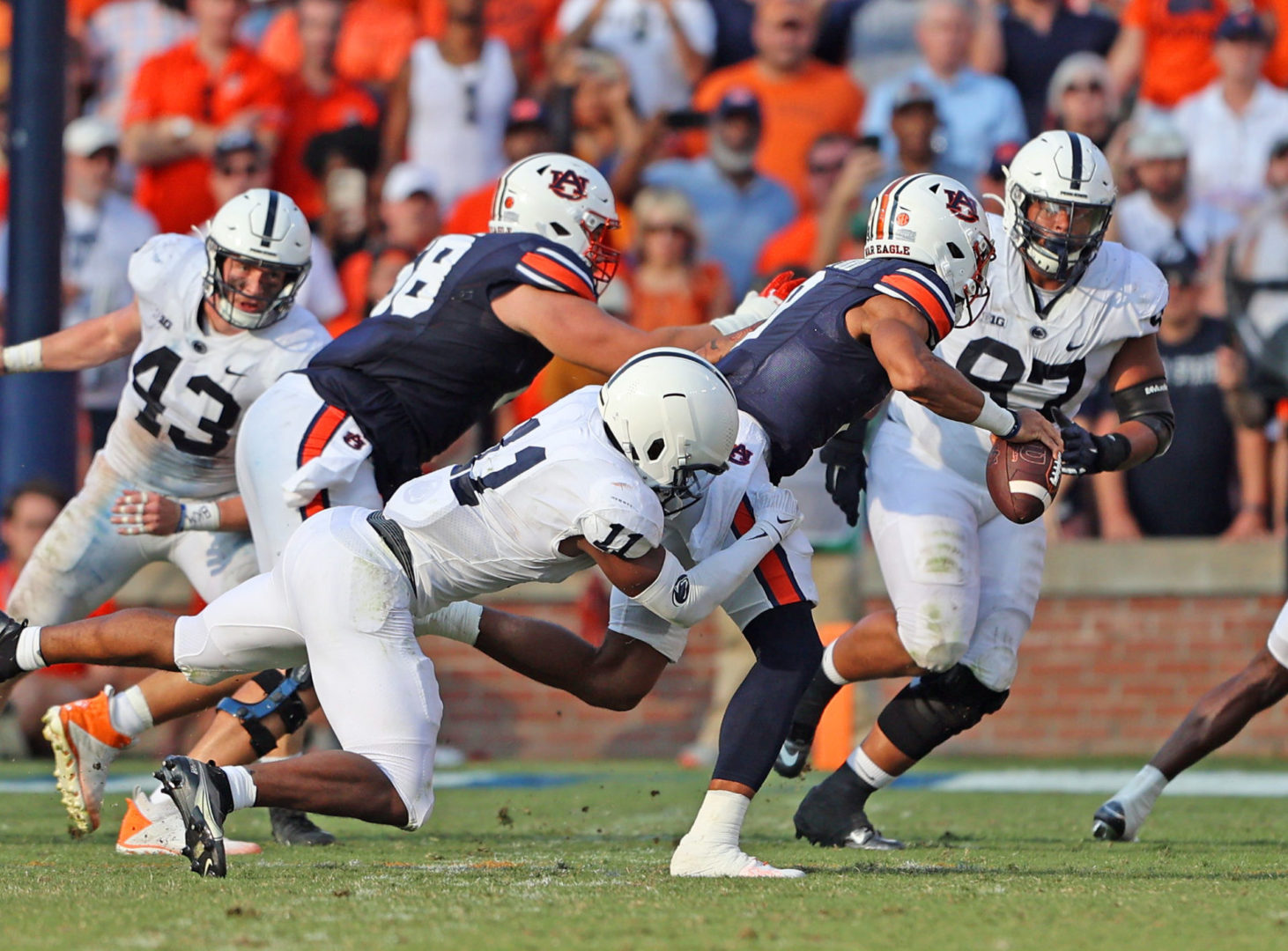 State College - 52365506213_4fc02be345_k