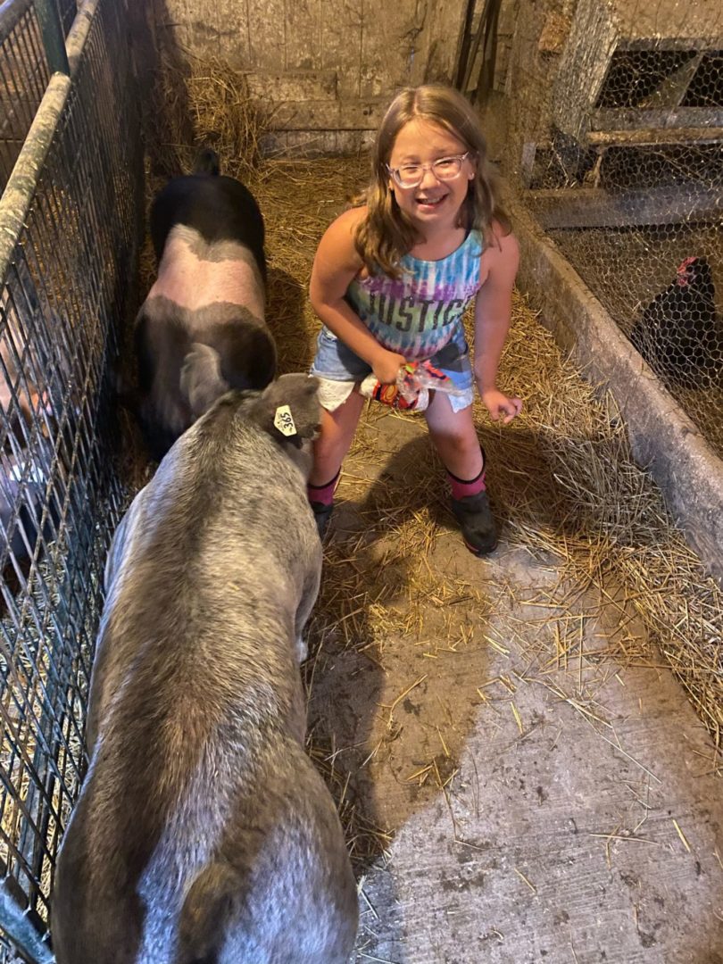 State College - Livestock auction