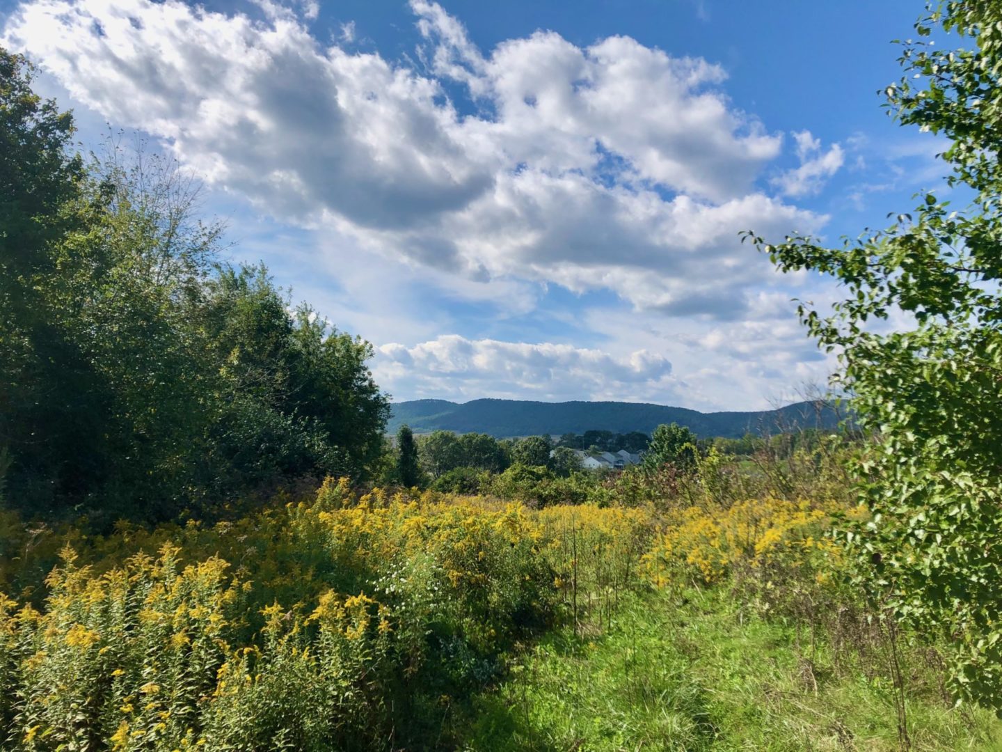 State College - the cascade high tech road