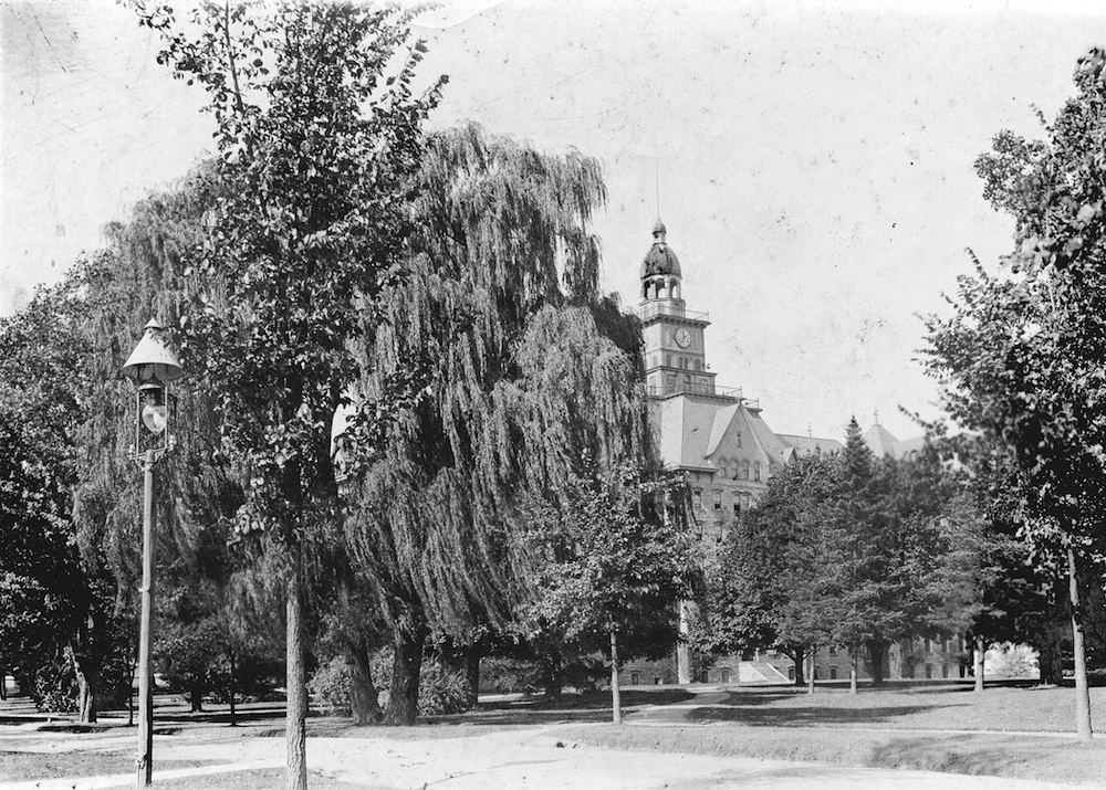 State College - weepingwillow3