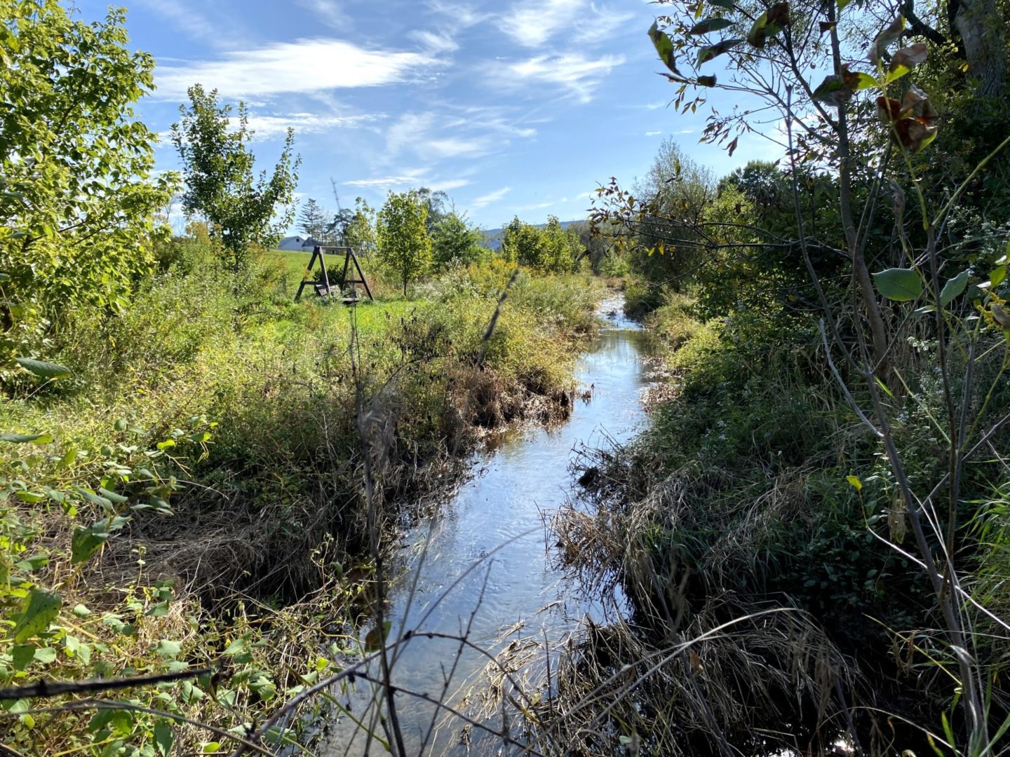 State College - Stream RIGHT