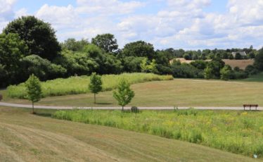 Ferguson Township Seeks State Grant for Next Phase of Cecil Irvin Park