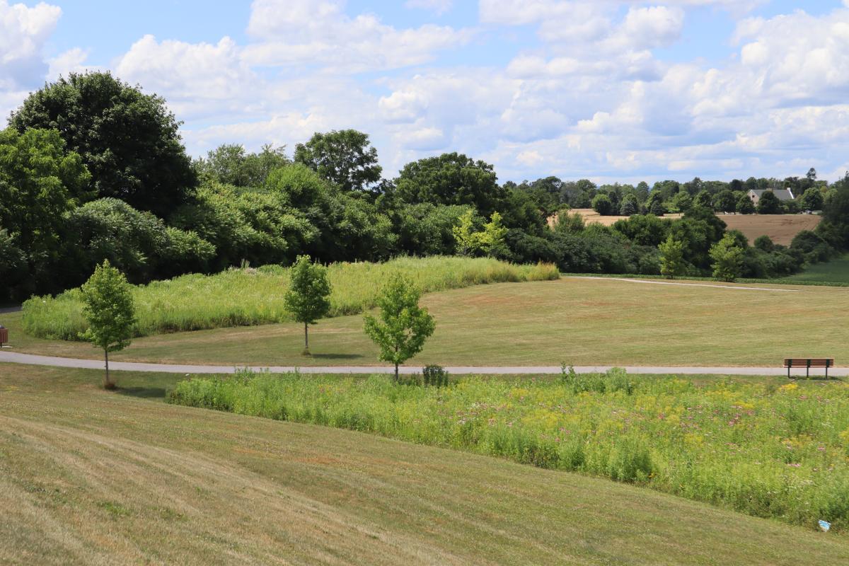 State College - img_0269